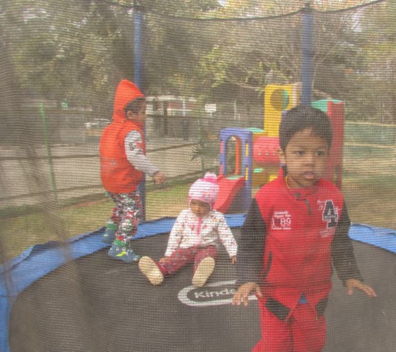 Dolphin Kids School Gallery