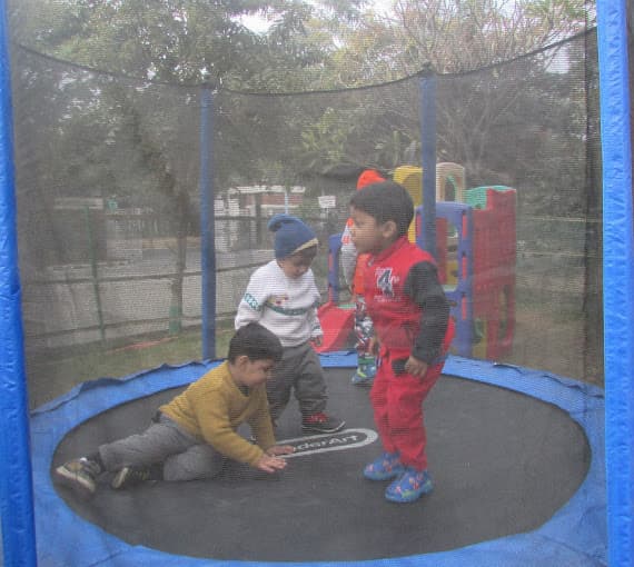 Dolphin Kids School Gallery