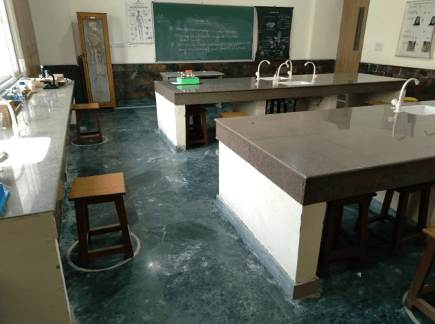 Apeejay International School Gallery