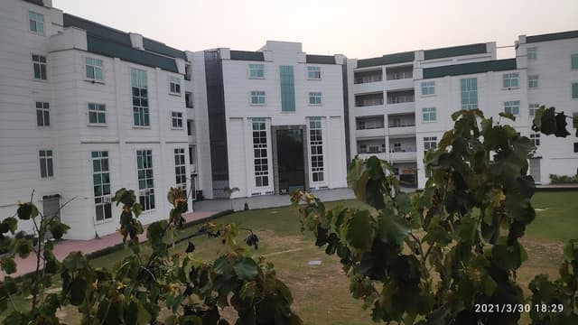 Queen’s Carmel School Gallery