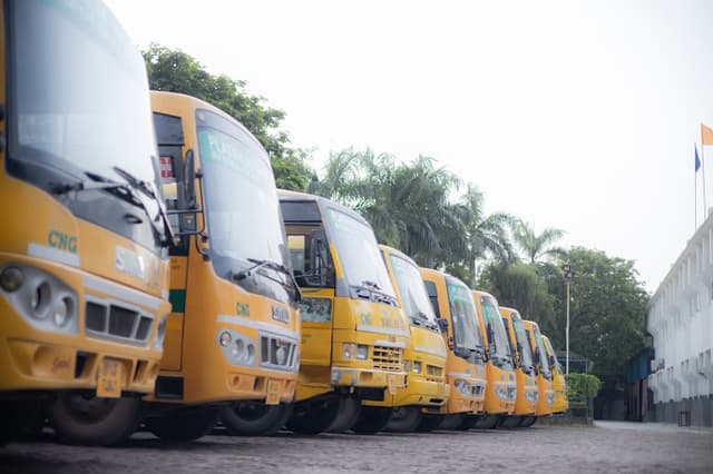 Platinum Valley International School Gallery