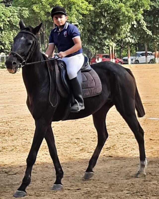 Silverline Prestige School Gallery