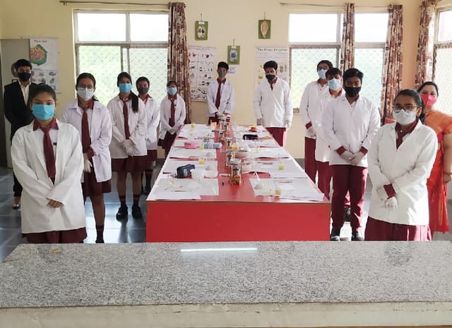 Queen Global International School Gallery