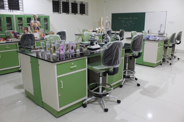 Harsha International Public School Gallery