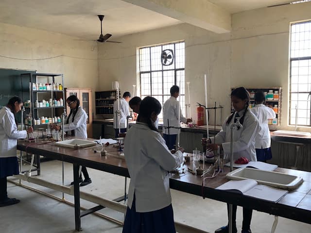 Trinity International Public School Gallery