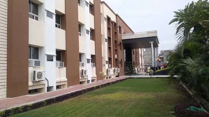 View All