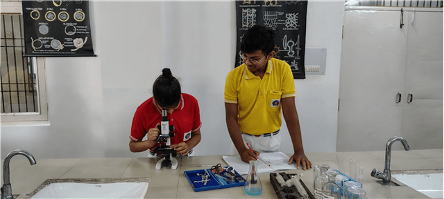 The City School Gallery