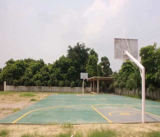 Iris Crown School Gallery