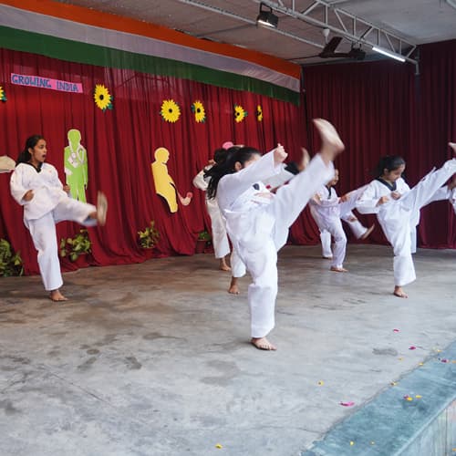 The Lucknow Public Collegiate Gallery