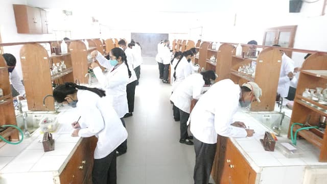 Spring Dale College Gallery