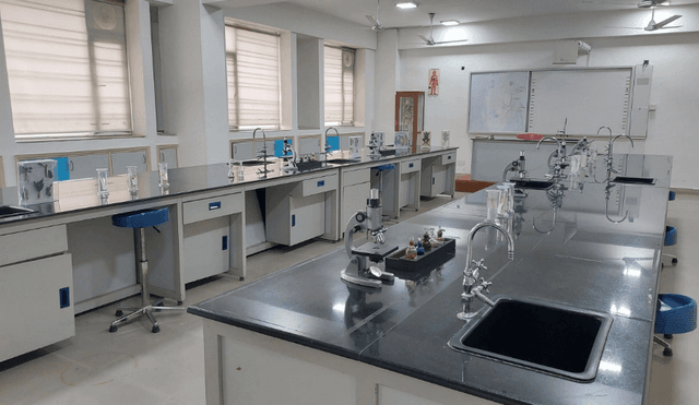 Skylark World School Gallery