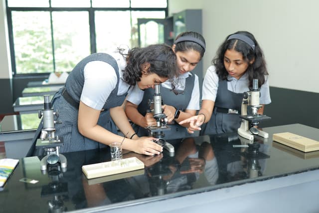 The Village International School Gallery