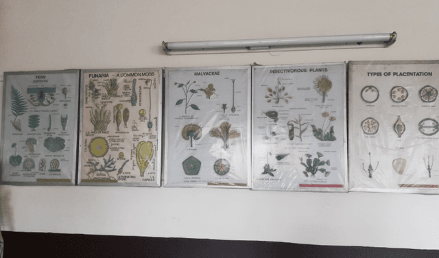 Stella Maris Inter College Gallery