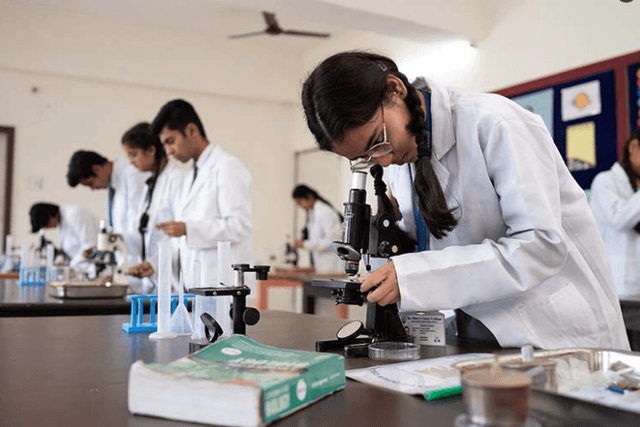 St. Mary's Inter College Gallery