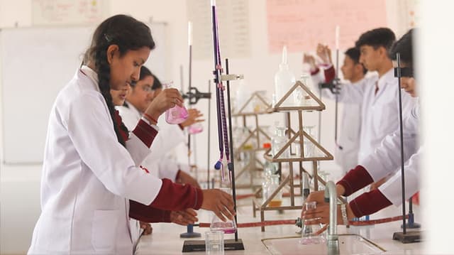 Crescent Public School Gallery