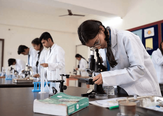 St. Mary's Inter College Gallery