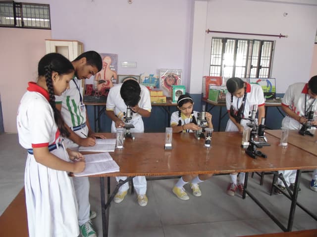 St. Mary’s Day Inter College Gallery