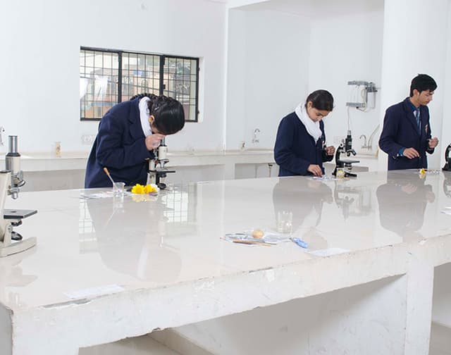 St. Joseph Inter College Gallery