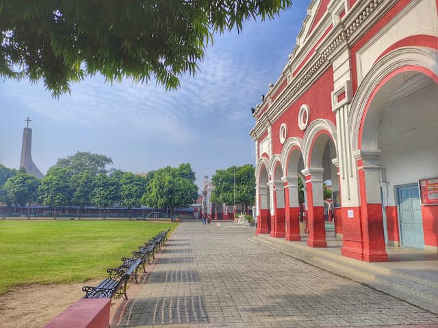 St. Francis' College Gallery