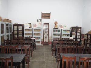 St. Francis' College Gallery