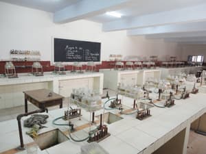 St. Francis' College Gallery