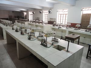 St. Francis' College Gallery