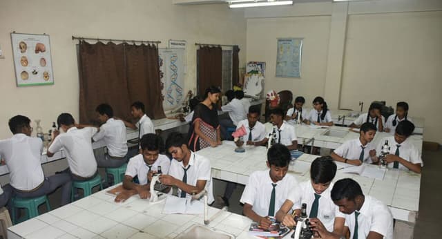 Cambridge School Gallery