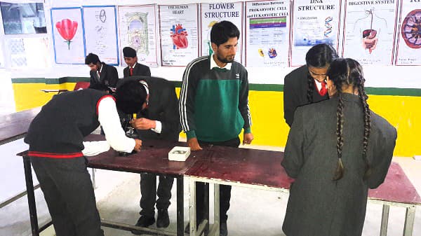 The Cambridge Sr. Sec. school Gallery