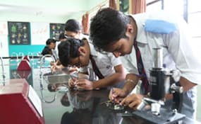 St. Joseph's Academy Gallery