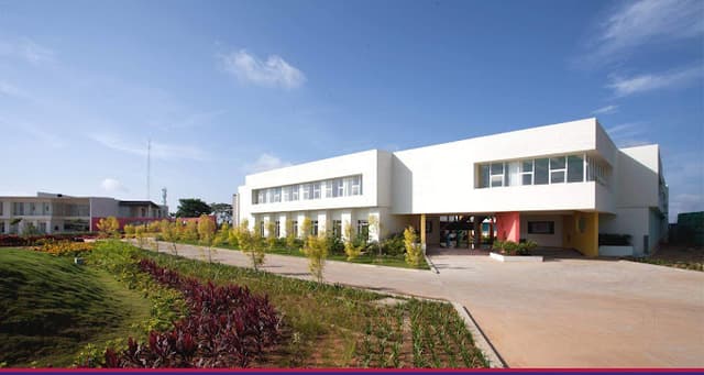 Redbridge International Academy Gallery