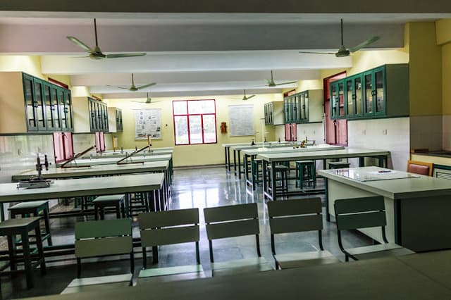 The Sagar School Gallery