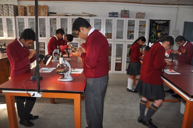 Rockvale Academy Gallery