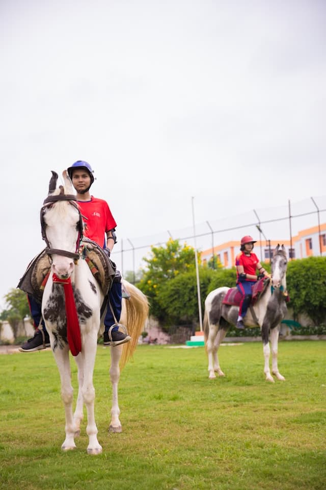 Seth M. R. Jaipuria School Gallery