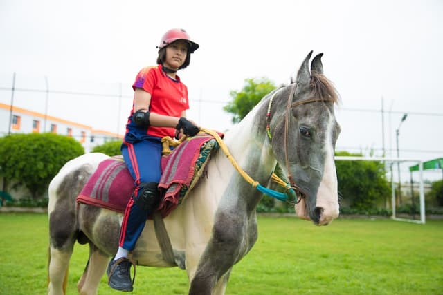 Seth M. R. Jaipuria School Gallery