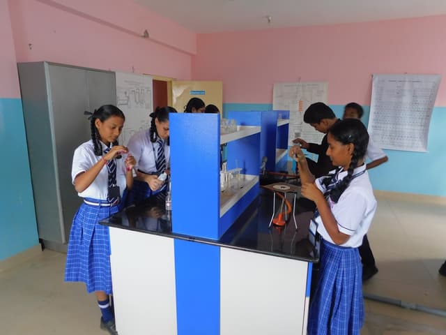 Prestige School Gallery