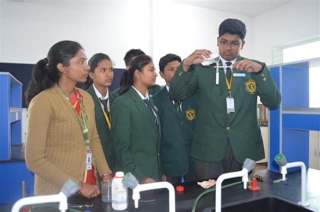 Delhi Public School Gallery