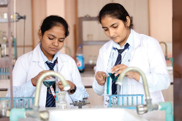 SPS International School Gallery