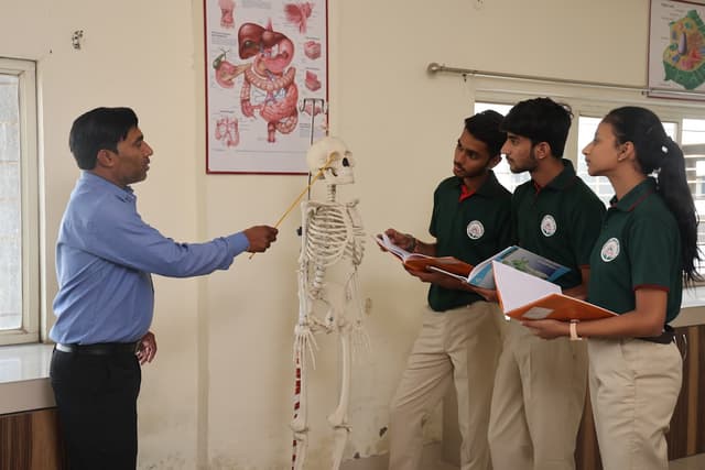 Mount Index International School Gallery