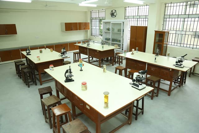 International Community School Gallery