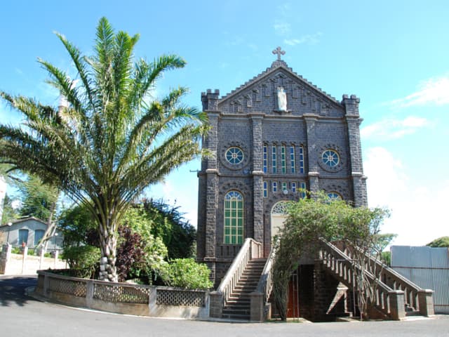 Montfort School Gallery