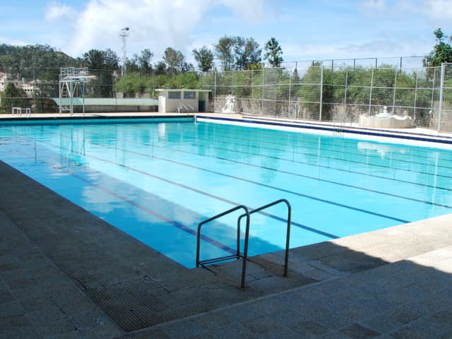 Montfort School Gallery