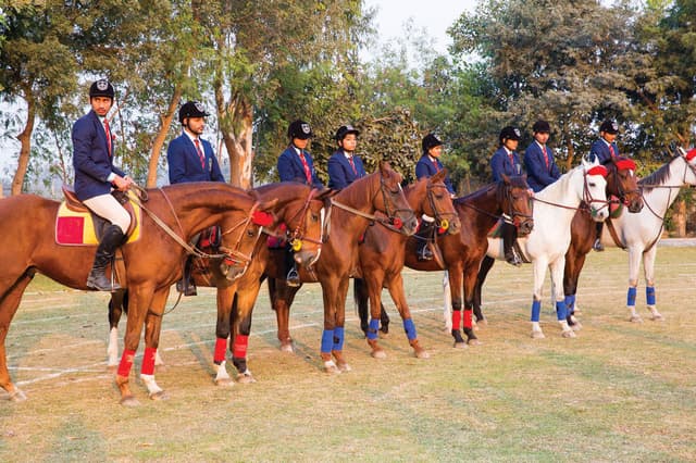 The Mann School Gallery