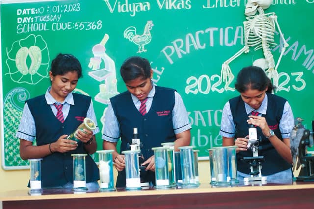 Vidyaa Vikas International School Gallery