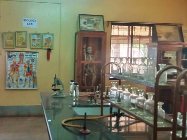 St.Josephs Convent School Gallery