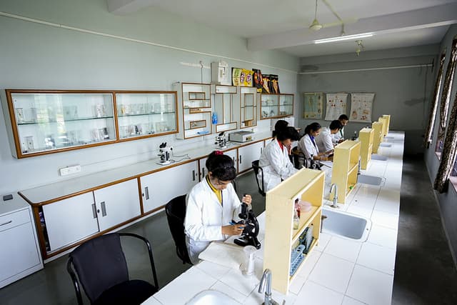 Golden International School Gallery