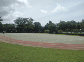 St. Mary's School Gallery