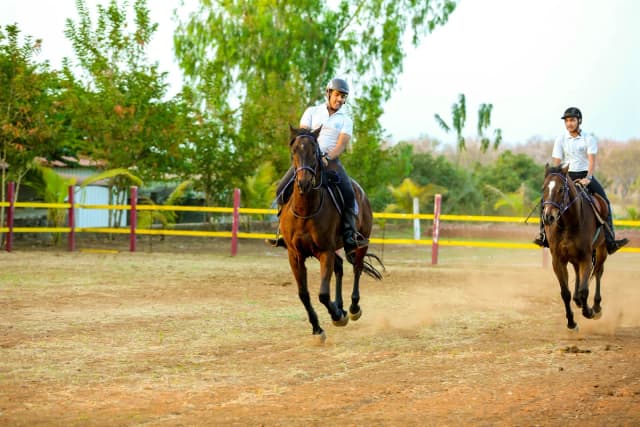 Dr. Cyrus Poonawalla International School Gallery