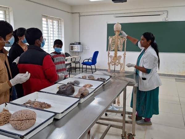 The Blue Mountains School Gallery