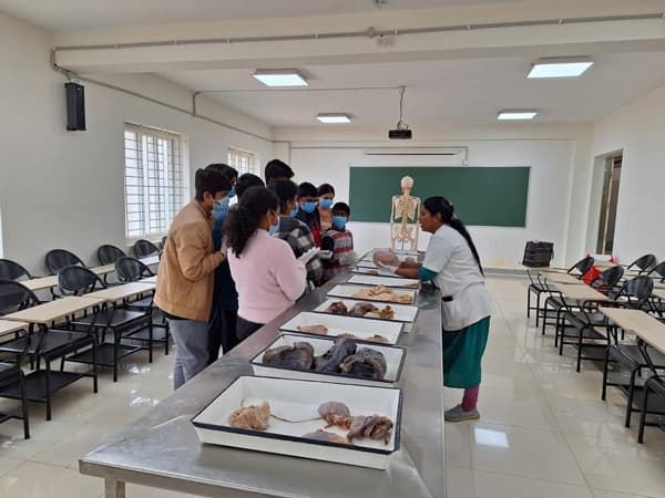 The Blue Mountains School Gallery
