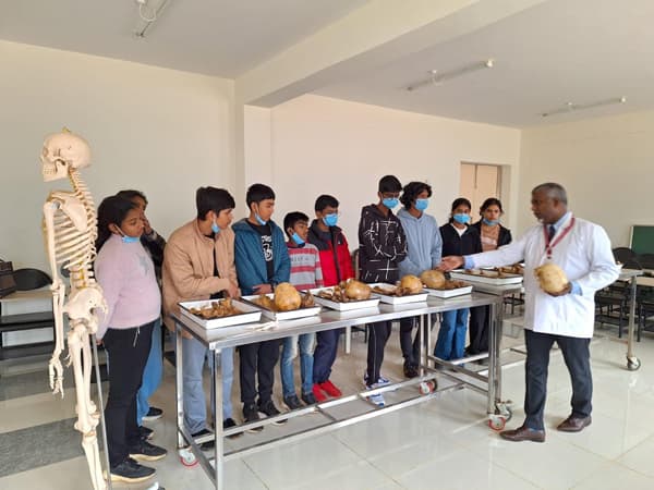 The Blue Mountains School Gallery